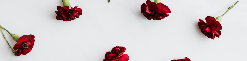 Fleurs